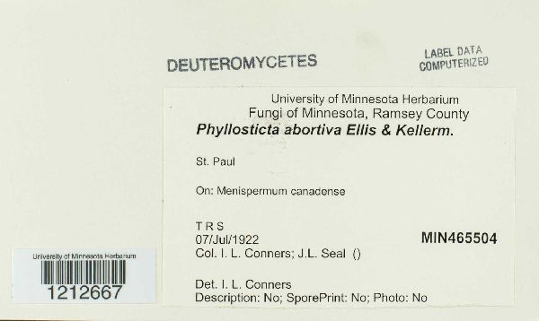 Phyllosticta abortiva image