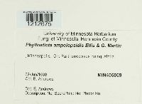 Media resource of Phyllosticta ampelopsidis