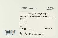 Image Associated With the Occurrence