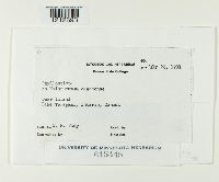 Image Associated With the Occurrence