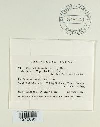 Image Associated With the Occurrence