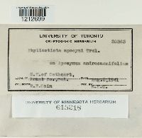 Image Associated With the Occurrence