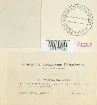 Image Associated With the Occurrence