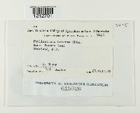 Image Associated With the Occurrence