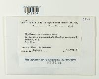 Image Associated With the Occurrence