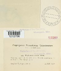 Image Associated With the Occurrence