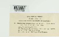 Image Associated With the Occurrence