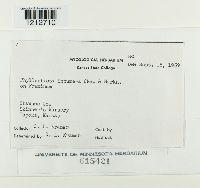 Image Associated With the Occurrence