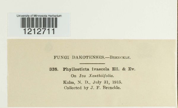 Phyllosticta ivaecola image