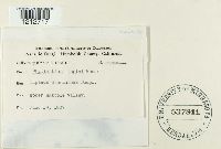 Image Associated With the Occurrence