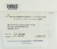 Image Associated With the Occurrence