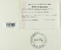 Image Associated With the Occurrence