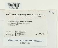 Image Associated With the Occurrence