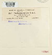 Image Associated With the Occurrence