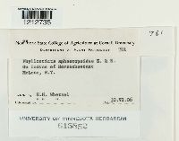 Image Associated With the Occurrence