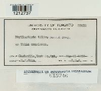 Image Associated With the Occurrence