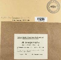 Image Associated With the Occurrence