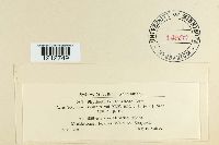 Image Associated With the Occurrence