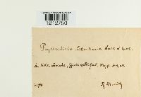 Image Associated With the Occurrence