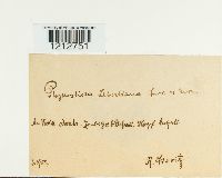 Image Associated With the Occurrence