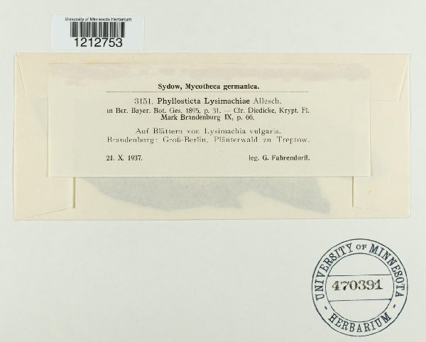 Phyllosticta lysimachiae image