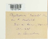 Image Associated With the Occurrence