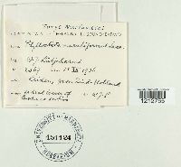 Image Associated With the Occurrence