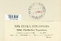 Image Associated With the Occurrence