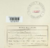 Image Associated With the Occurrence