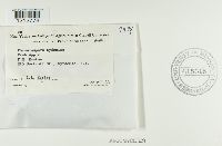 thumbnail image of current specimen