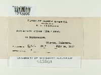 Image Associated With the Occurrence