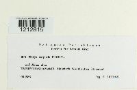 Image Associated With the Occurrence