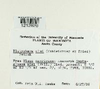 Image Associated With the Occurrence