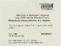 Image Associated With the Occurrence