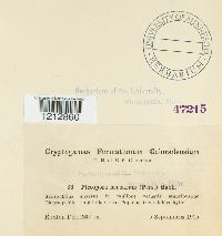 Pleospora herbarum image