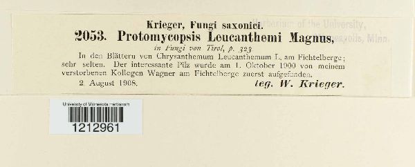 Protomycetaceae image