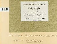 Image Associated With the Occurrence