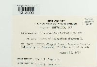 Image Associated With the Occurrence