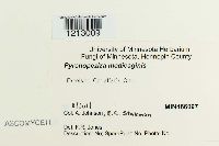 Media resource of Pyrenopeziza medicaginis