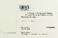 Media resource of Gloeosporium ribis