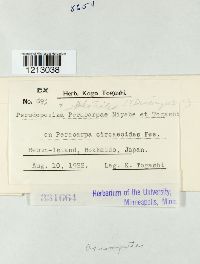 Image Associated With the Occurrence