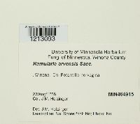 Image Associated With the Occurrence