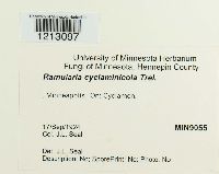 Image Associated With the Occurrence