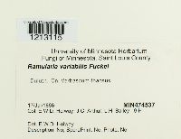 Image Associated With the Occurrence