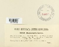 Image Associated With the Occurrence