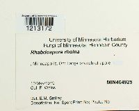 Image Associated With the Occurrence