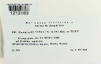 Image Associated With the Occurrence