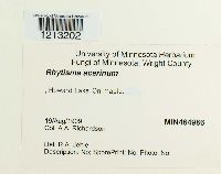 Image Associated With the Occurrence