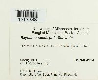 Image Associated With the Occurrence