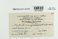 Sclerotinia cinerea image